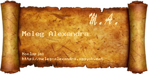 Meleg Alexandra névjegykártya